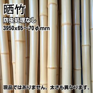 竹材】黒竹 直径7分（約21mm） 長さ2m 20本入り : 越川竹材工業 - 通販