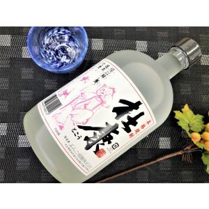 サッポロ（SAPPORO） 濃いめのレモンサワーの素 1800ml 6本 大容量 1.8