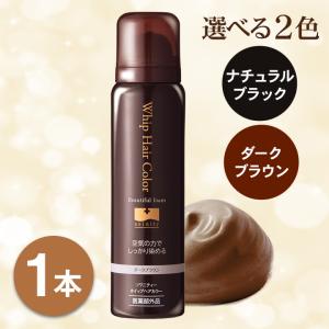 ビーリス エアリーカラーリングフォーム 80g 3個セット ダークブラウン