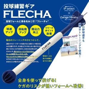 アイピーセレクト 野球 フレーチャ FLECHA トレーニング 全身を使って