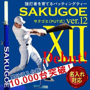 MIZUNO（ミズノ） 【メーカー直送品】FLECHA フレーチャ アイピー