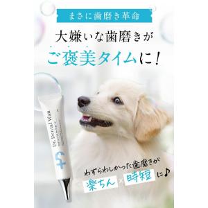 3本セット 】 ドクターデンタルワン Dr.DentalWan 30g サンテミナ