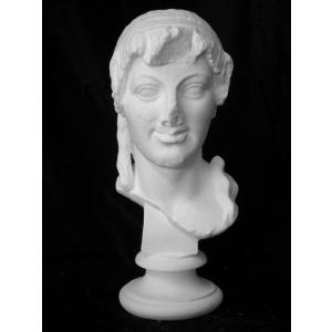 S−205 古代ヴィーナス首像（アバタのヴィーナス）（特） : 石膏像