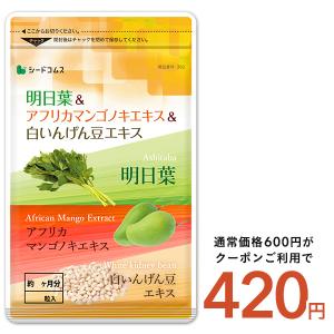 ルビーフィット 30包 ダイエットサプリメント : プライスラボ ヤフー店