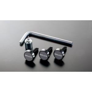 MODELLISTA カラードフェンダー ※プラチナホワイトパールマイカ