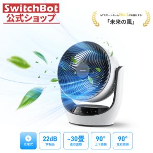 リンナイ（Rinnai） ガスファンヒーター RC-U5801PE-BG 都市ガス LP