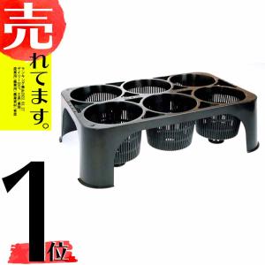 20枚 ポットレスコンテナ230 24穴 5.5cm 容量230cc 阪中緑化資材 タS