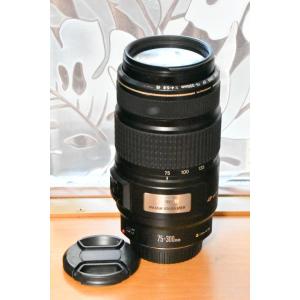 キヤノン（Canon） Canon EF 75-300mm f/4-5.6 III 美品 EFマウント