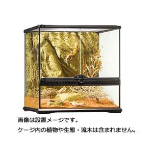 GEX（ジェックス） 【全国送料無料】 エキゾテラ グラステラリウム