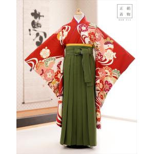 小学校卒業式 袴レンタル 女の子 h0221 小学生 十三参り 6年生