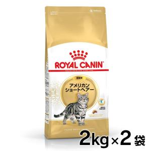 ナチュラルチョイス 猫 フード キャットフード ニュートロ 2kg
