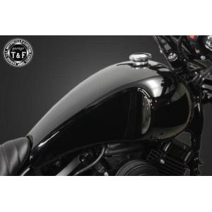 Garage T＆F ガレージ マスタングタンクキット スティード400 VSE