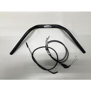 Anny's アニーズ オリジナル・アンダーカウル Z専用取り付けステー