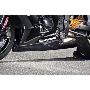 カワサキ（Kawasaki） ZX-10R アンダーカウル 右 55028-0766 純正 中古