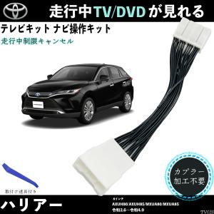 Data System（データシステム） TTV441S TVキット スマートタイプ ナビ