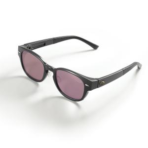 サイトマスター マニフィコ ブラウンデミ 【レンズカラー：LG/シルバー