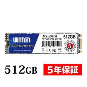 WINTEN 内蔵SSD 256GB SSD M.2 5年保証 ドライバー付 Type2280 SATA3