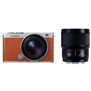 Panasonic LUMIX S9 ミラーレス一眼小型広角ズームレンズキット DC-S9N