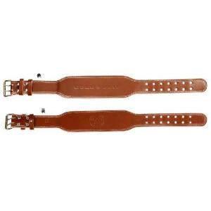 ゴールドジム（GOLD'S GYM） プロレザーベルト Mサイズ G3324