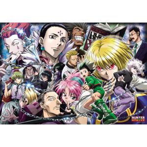 冨樫義博展 -PUZZLE- 原画展 冨樫展 冨樫義博 HUNTER×HUNTER ハンター