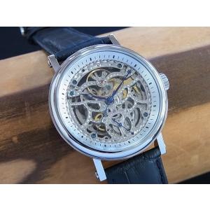 ARCA FUTURA（アルカフトゥーラ） P0110301BR ARCAFUTURA 自動巻き式