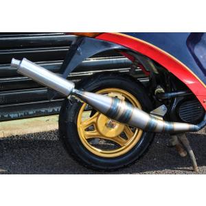 カメレオンファクトリー製 チャンバー A306 パラライザー3 ZZ