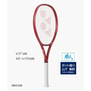 バボラ Babolat テニス 振動止め アエロダンプ×2 2個入 AERO DAMP X2