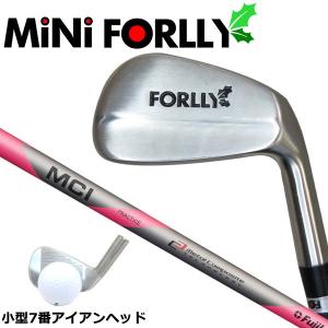 フジクラシャフト フジクラ MCI PRACTICE PLUS Iron MCIプラクティス