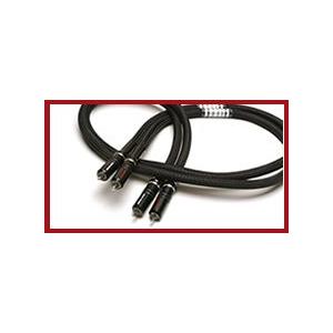 アコースティック リヴァイブ ACOUSTIC REVIVE RCA ラインケーブル RCA