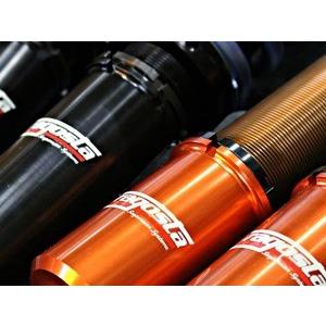 アラゴスタ 車高調 TYPE-E ローバー ミニ 1.3 FF XN12A用 ショック単体