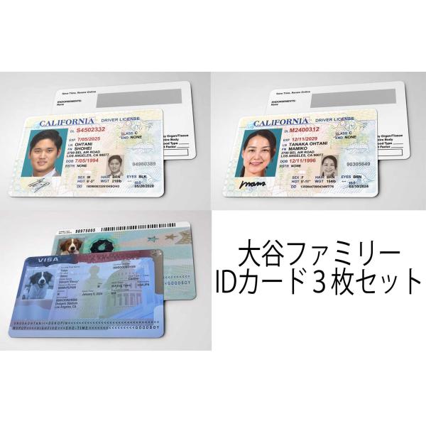 大谷ファミリー 3枚セット【 大谷翔平 田中真美子 デコピン