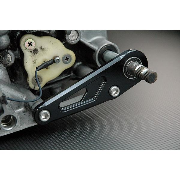 RZ250R シフトシャフトガイドプレート ブラック : Complsah Factory