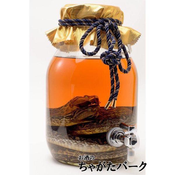 chagatapark_158811659