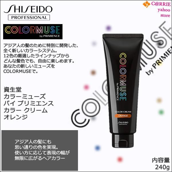 SHISEIDO PROFESSIONAL（資生堂プロフェッショナル） 資生堂 カラー