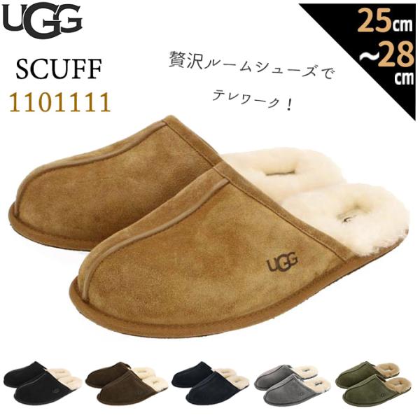 backyard_ugg1101111