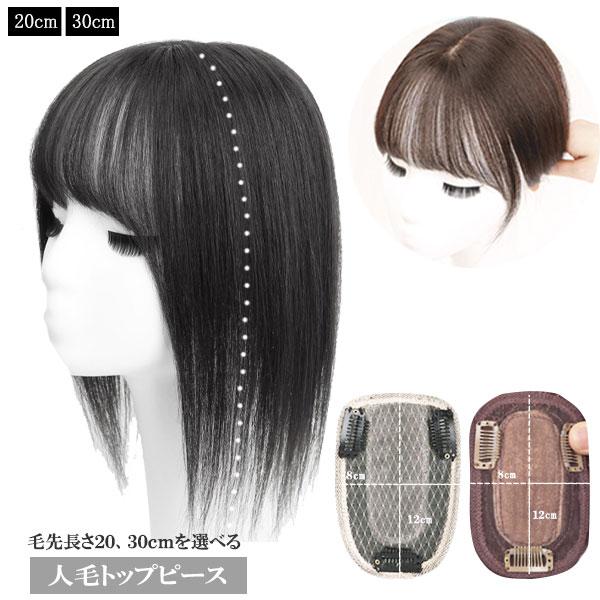 人毛 トップピース ストレート ヘアピース トップカバー 手植え 20cm