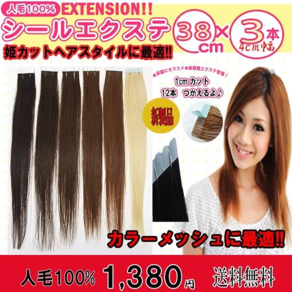 シールエクステ 人毛100% 38cm 3本セット 1cm の切れ目有 カットすれば