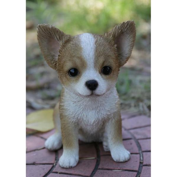 ポリレジン製 ガーデン彫像 座っている茶色と白のチワワの子犬像 置物