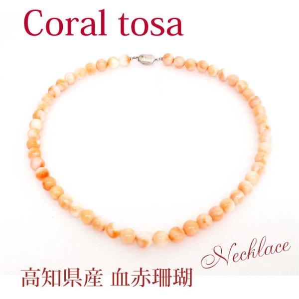 bitokenko-net_coral-t-momo2103y