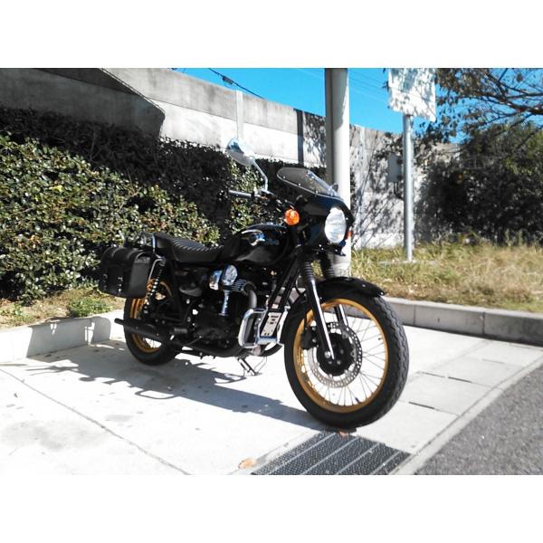 ワールドウォーク（WORLD WARK） W800対応 汎用ビキニカウル DS-01