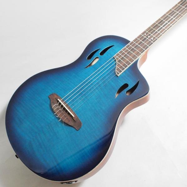 Ortega RTPDLX-FMA TOURPLAYER エレガット オルテガ : 楽器de元気