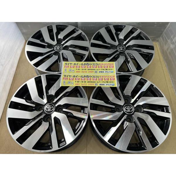 gripiga_6ys14250403roomy