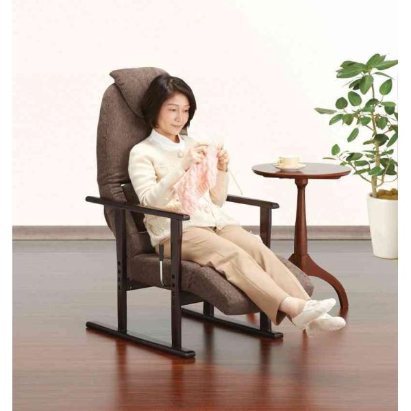 フランスベッド（FRANCEBED） リハテック 背楽チェア SEC-02 ダーク