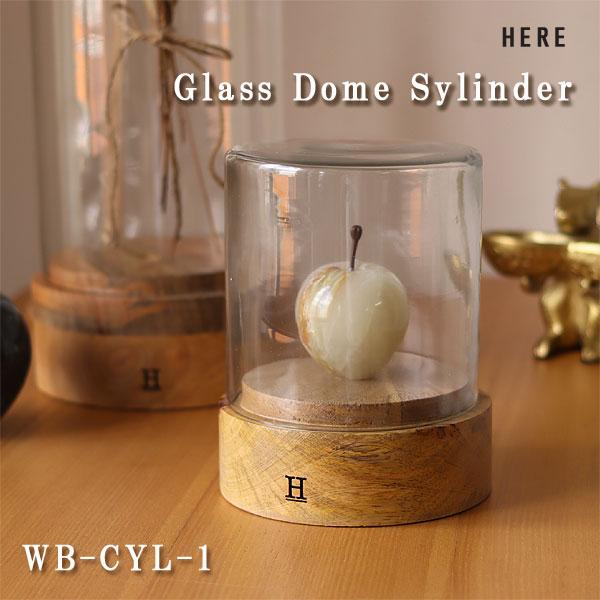 ガラスドーム シリンダー1（ディスプレイケース ガラスケース ショー