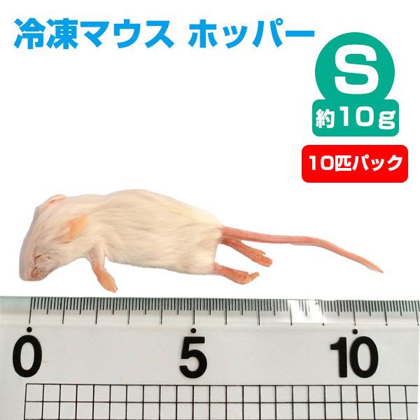 冷凍 エサ冷凍 冷凍マウス ホッパー Sサイズ 約10g 10匹パック T2