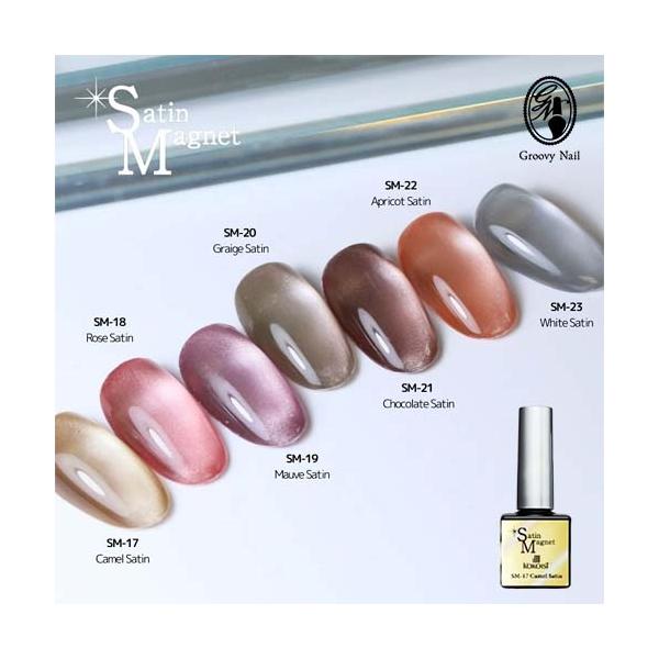 KOKOIST ココイスト サテンマグネット 10g 全7色 SM-17〜23 微粒子