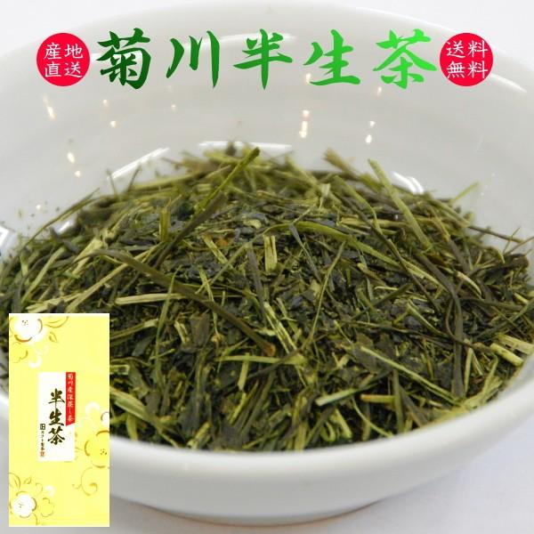 2025年産 お茶 緑茶 日本茶 煎茶 一番茶 菊川半生茶 100g 送料無料 5個