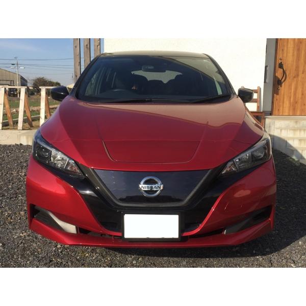 リーフ HCS 日産リーフ ZE1 カーボンVモーショングリル 【クリア塗装済