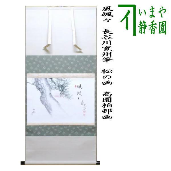 茶道具 掛軸 掛け軸 横軸画賛 風颯々 松風颯々声 長谷川寛州筆 松の画