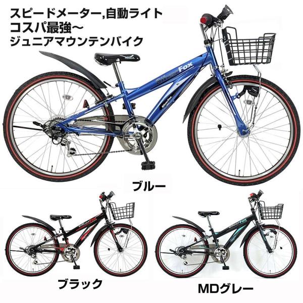 愛知県 三河 引き取り限定】 ブリヂストン ジュニアマウンテン 24